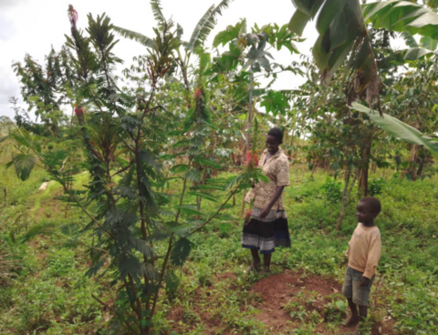 farmer and child in Uganda